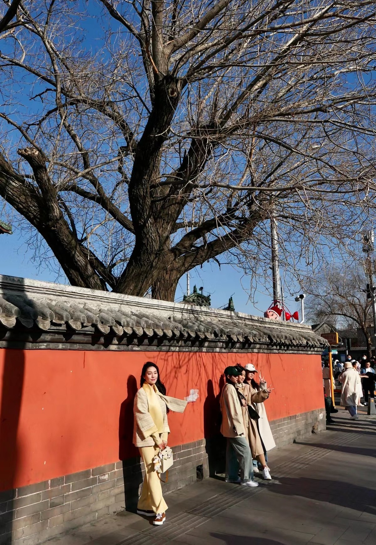 初春的下午---后海随拍