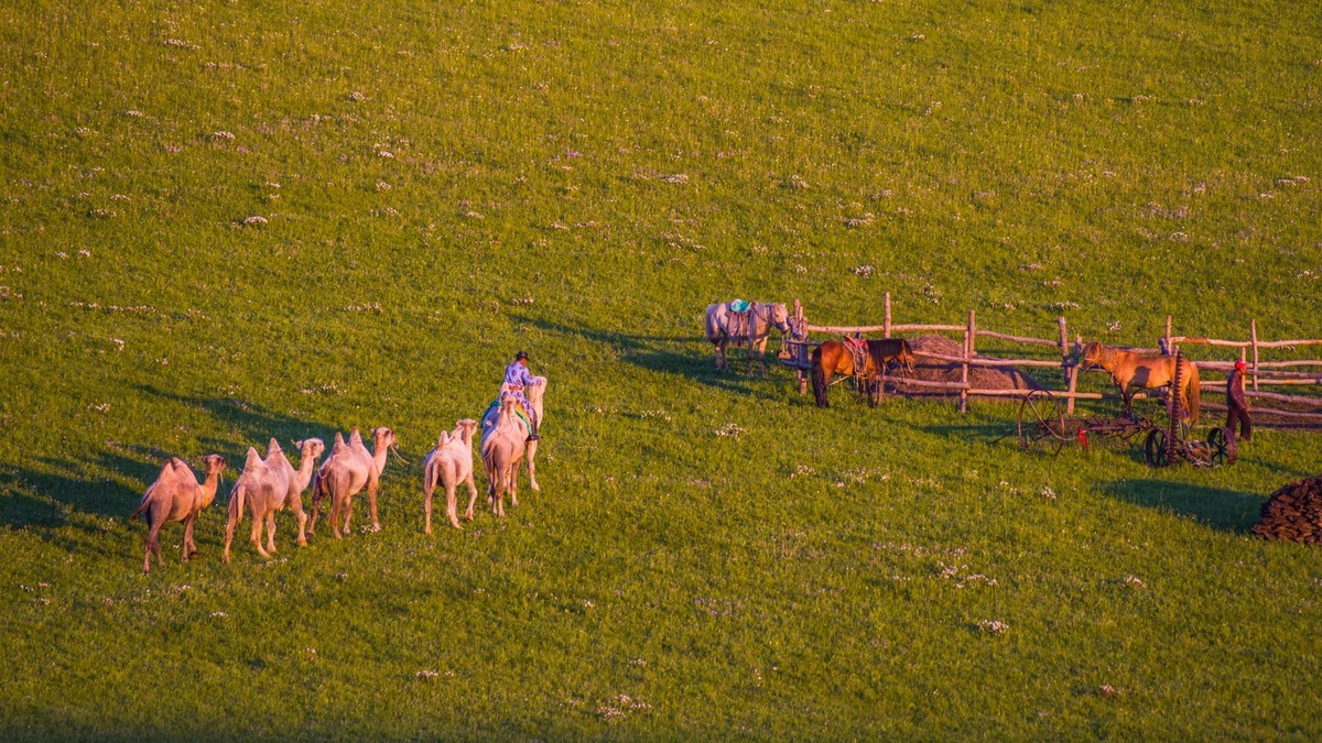 21.6 草原的夏天 （二十一）------黄昏，草原最温馨的时候