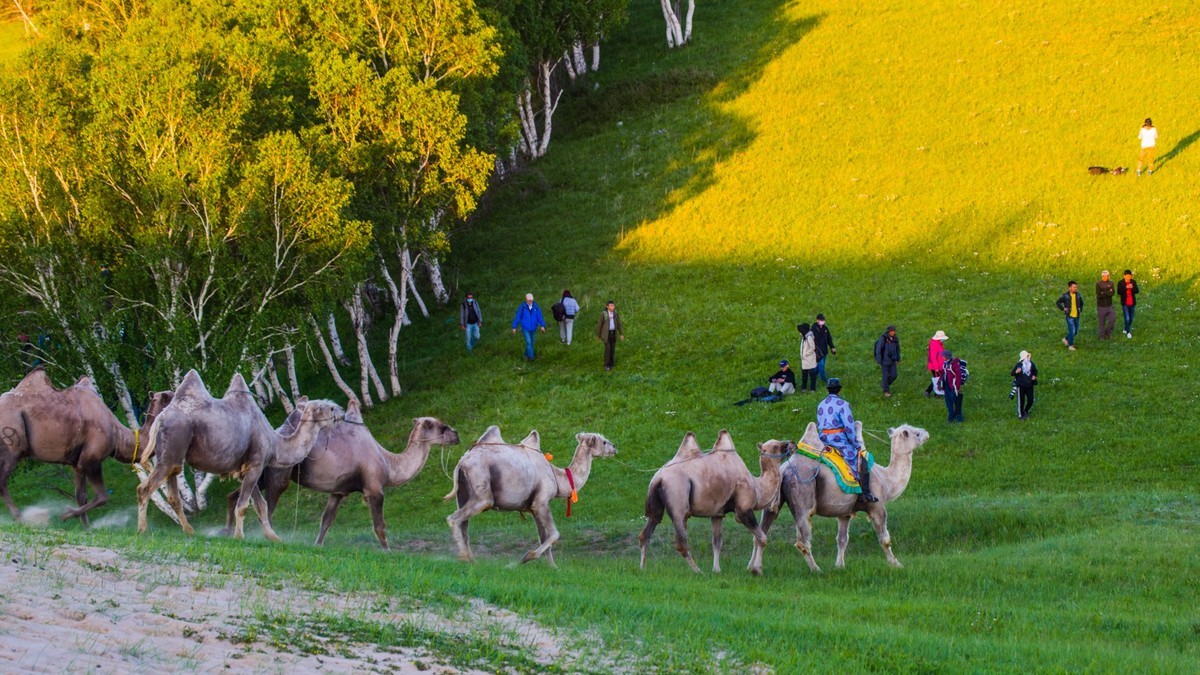21.6 草原的夏天 （二十一）------黄昏，草原最温馨的时候