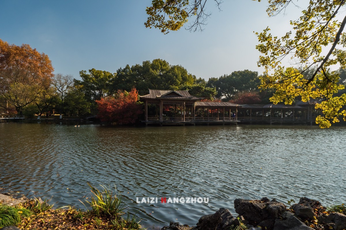 冬已至 秋未尽 (3)