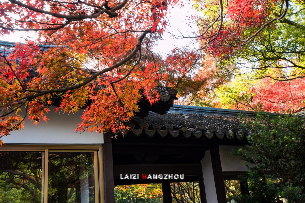 冬已至 秋未尽 (3)