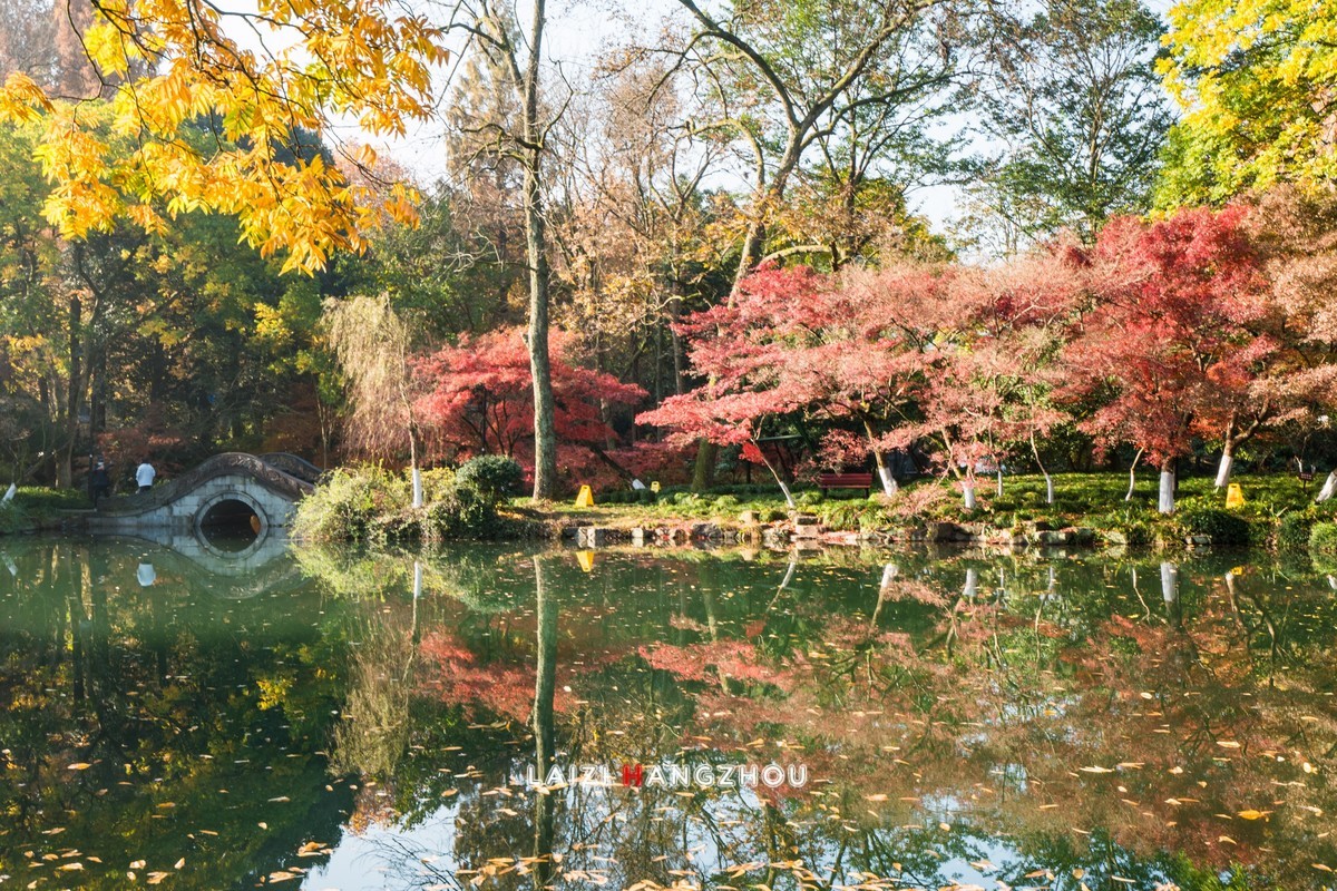 冬已至 秋未尽 (3)