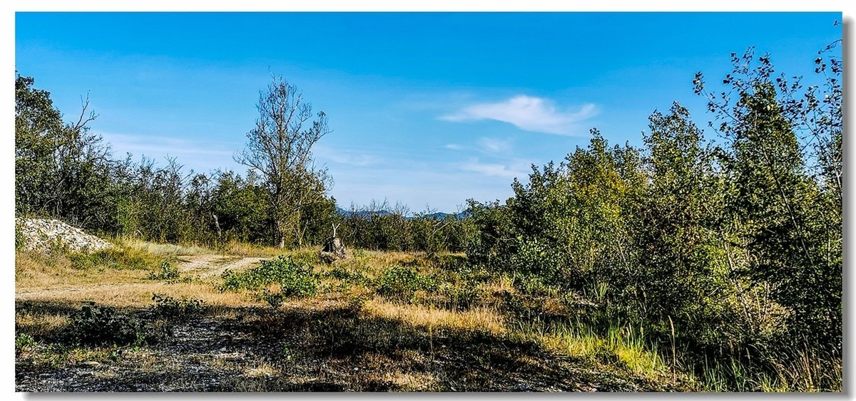 人工湖景（南德）