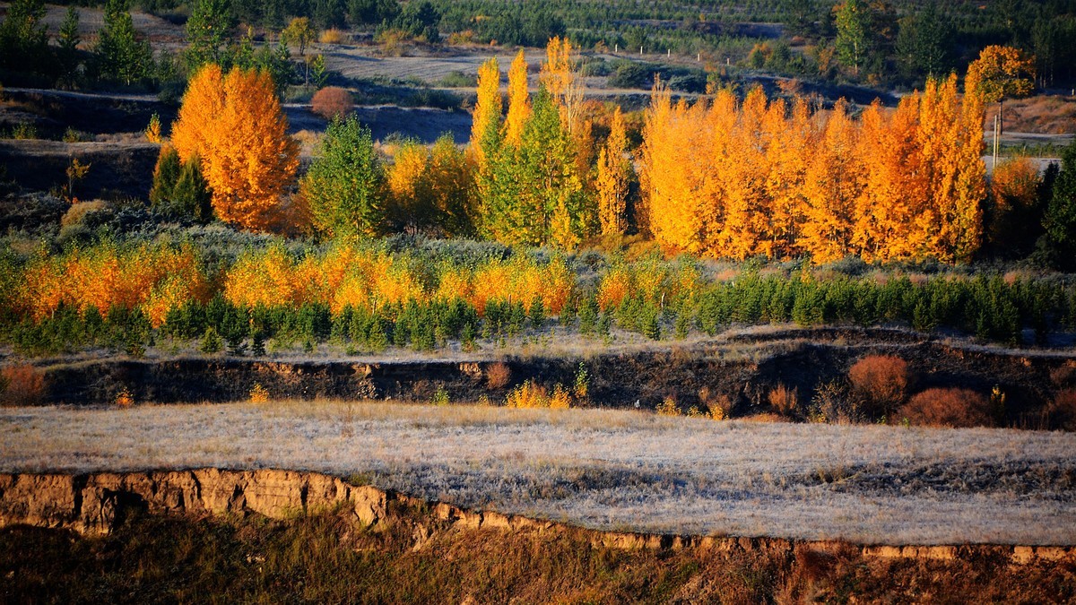 旅拍 — 克什克腾旗（金乌线）秋色