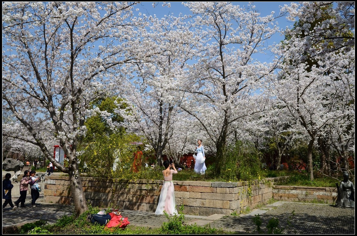 广富林遗址公园