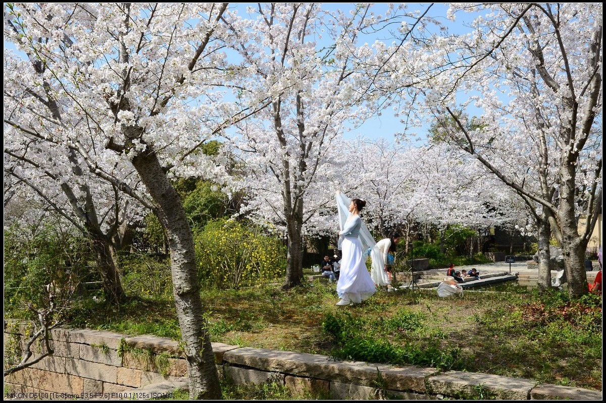 广富林遗址公园