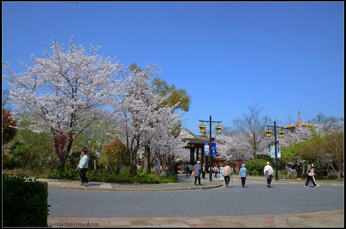广富林遗址公园