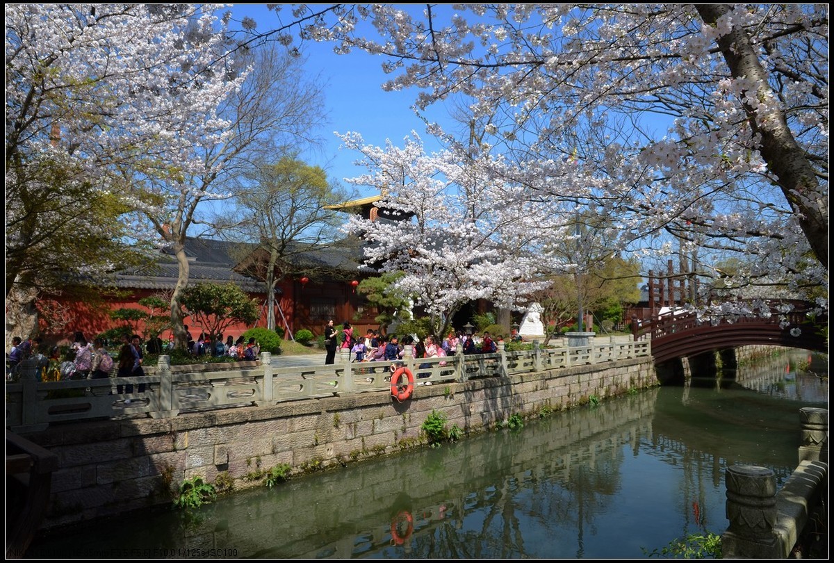 广富林遗址公园