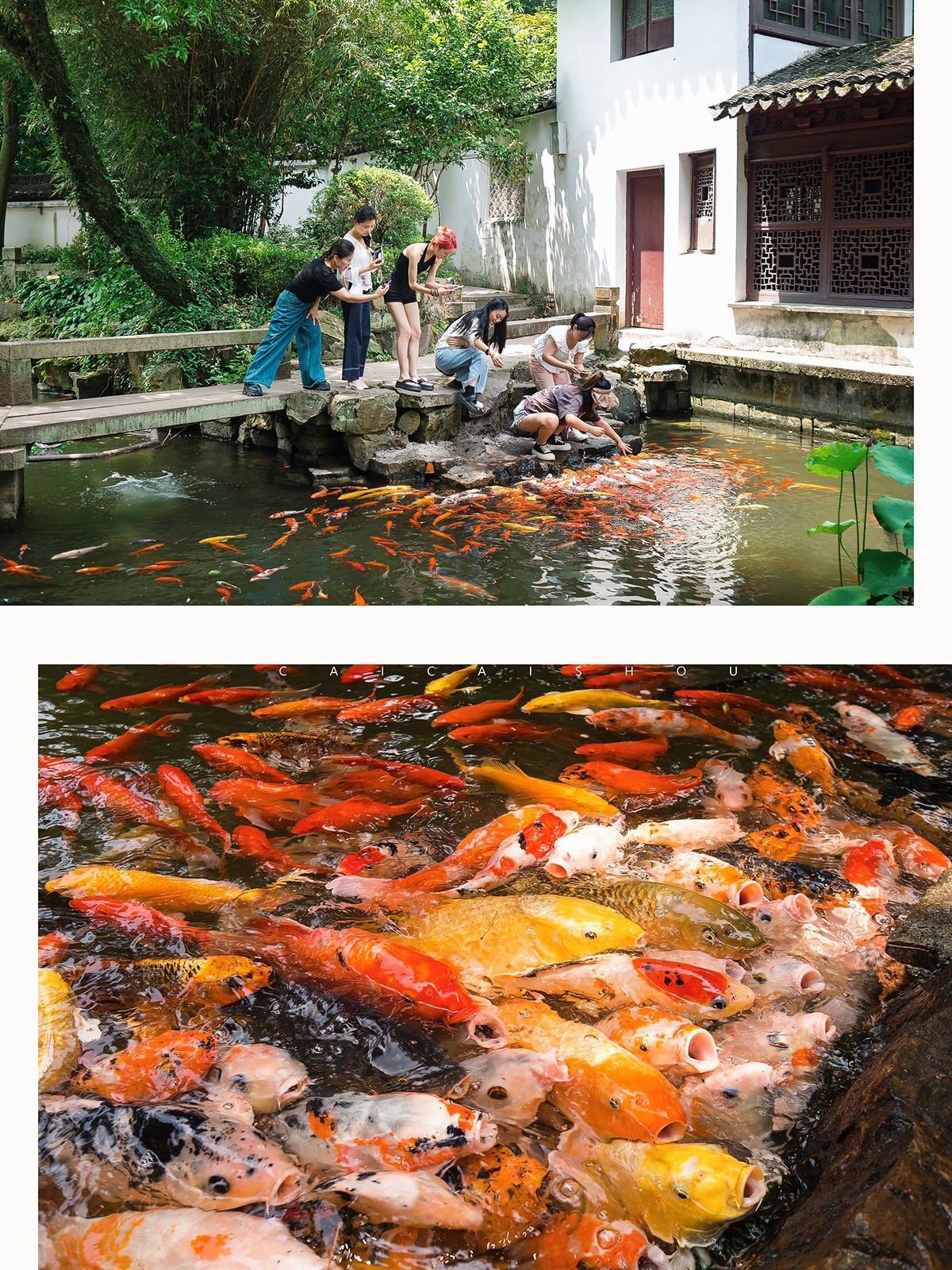 【菜々手摄影】悠长假期