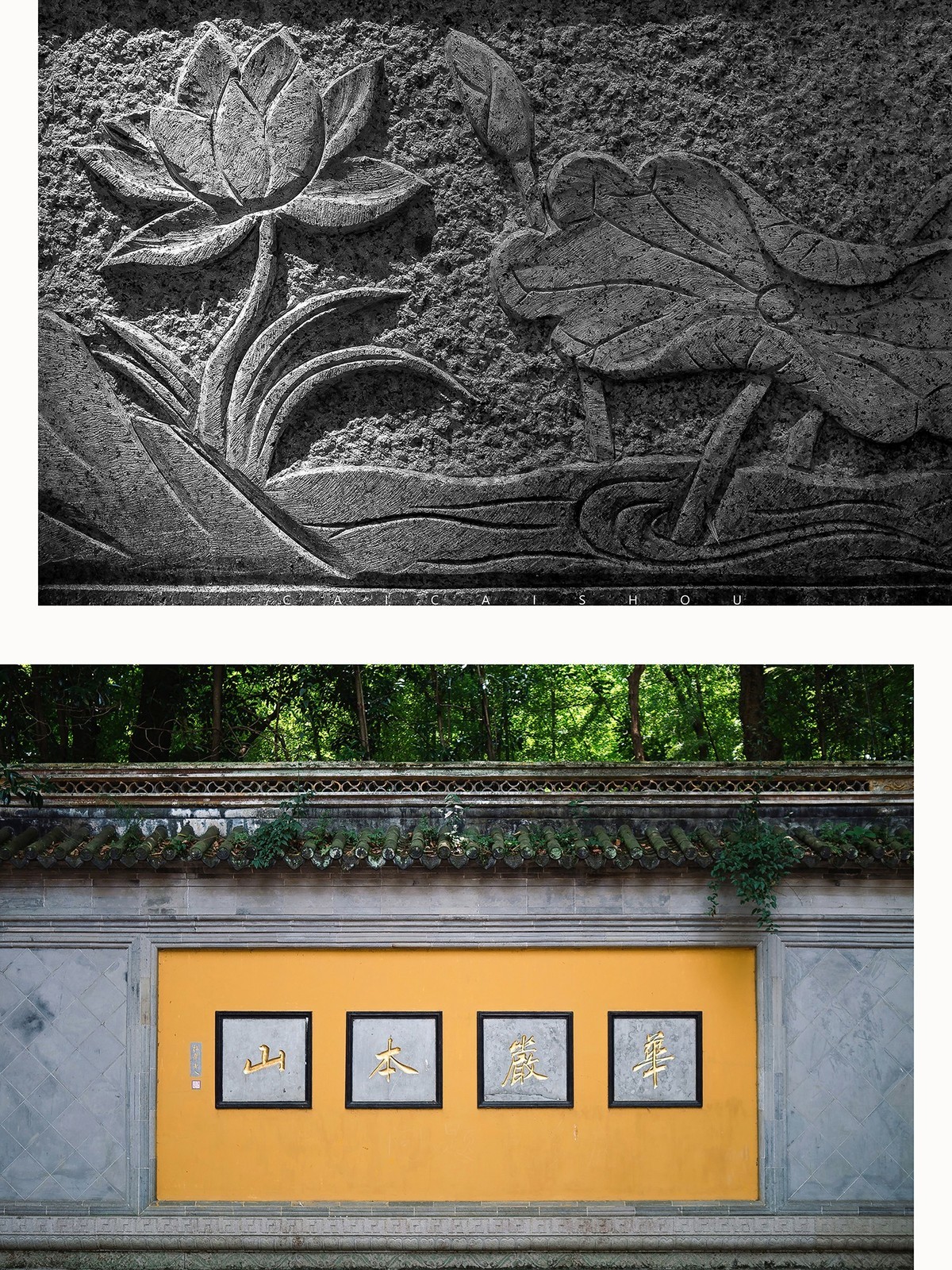 【菜々手摄影】悠长假期