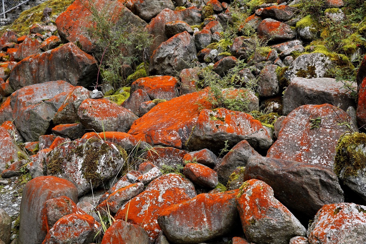 川西特有的景色--红石滩