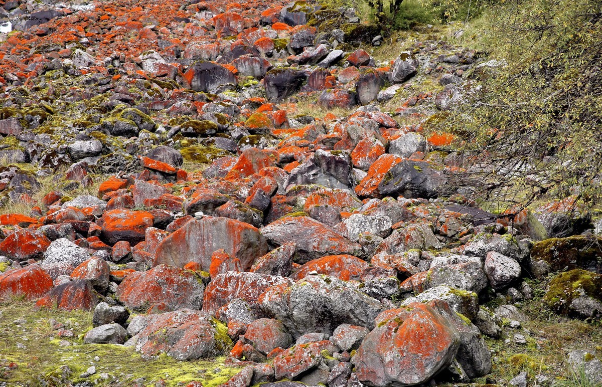 川西特有的景色--红石滩