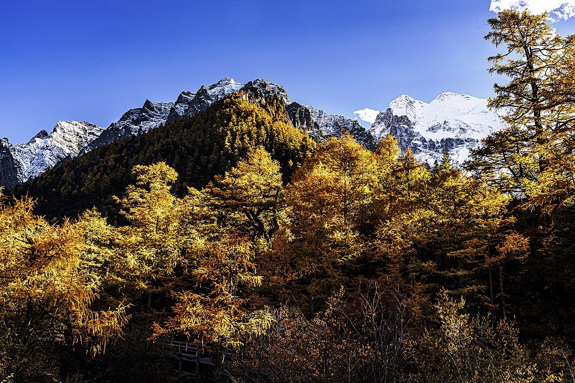 稻城亚丁--秋日行【20】续完