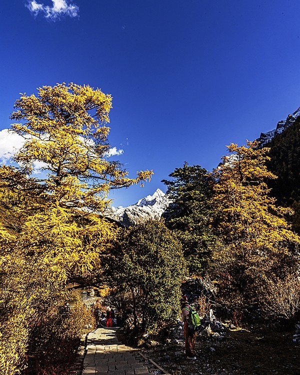 稻城亚丁--秋日行【20】续完