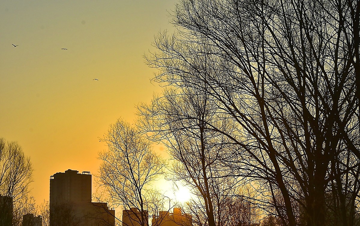 黄河的早晨----以此贴谢各位好友的支持-----