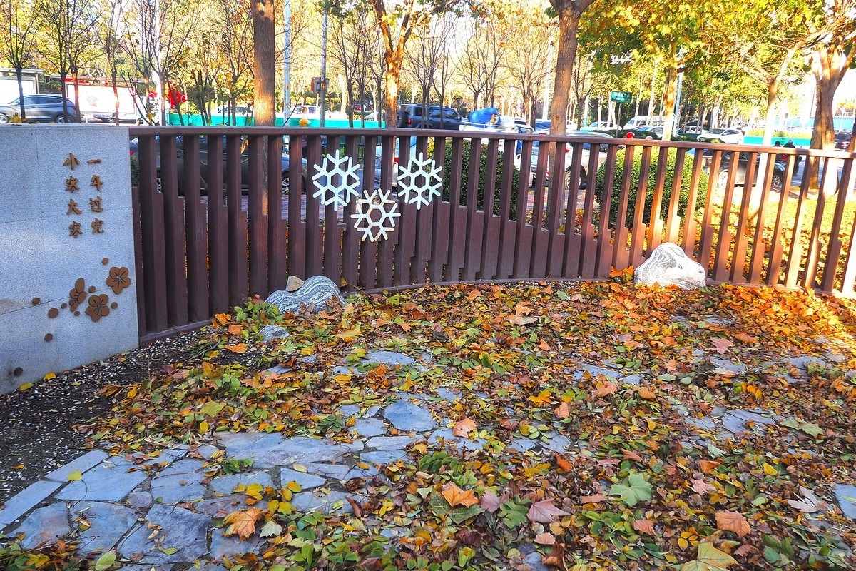 冬日· 街角公园2