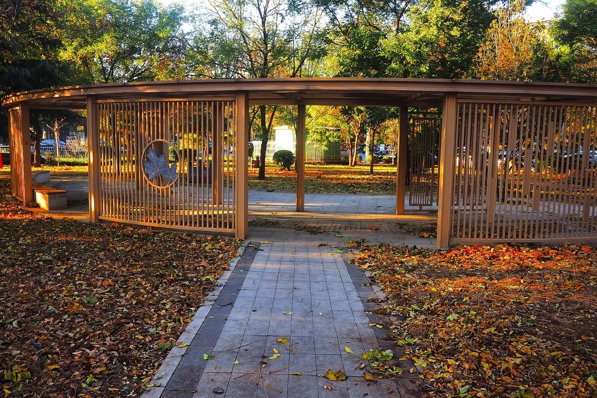 冬日· 街角公园2