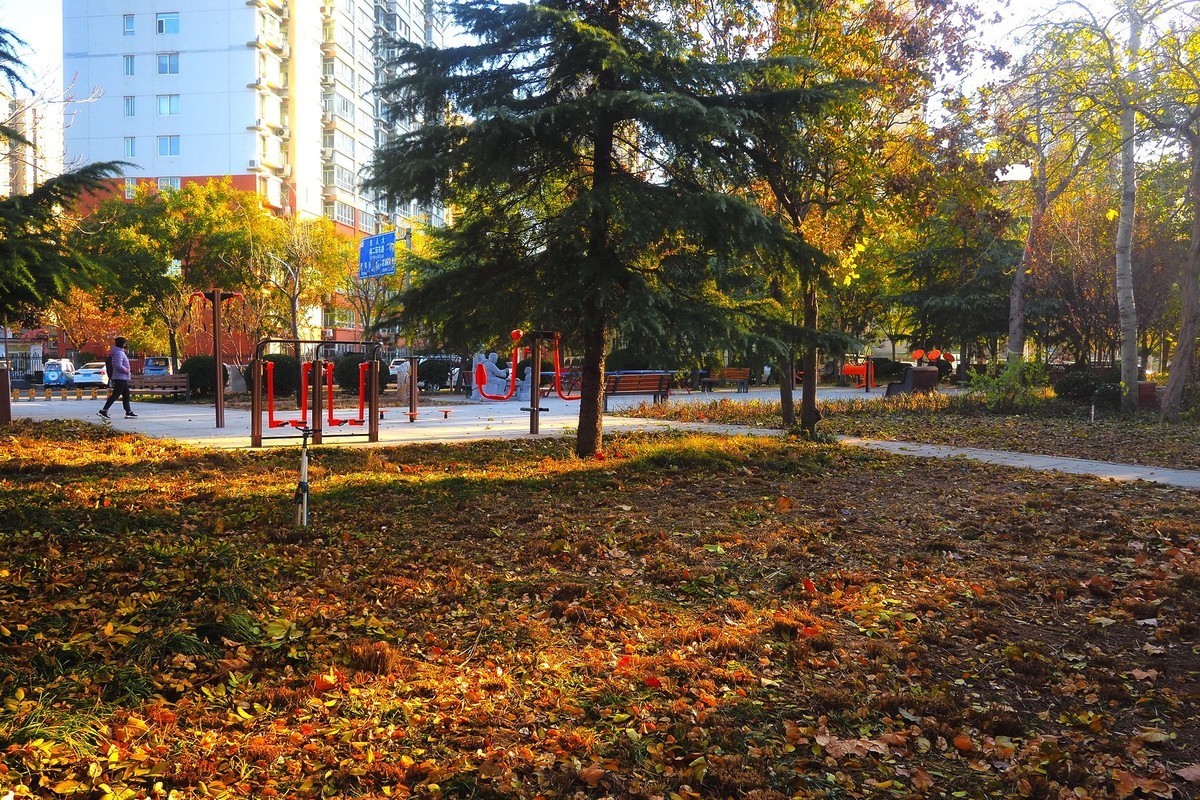 冬日· 街角公园2