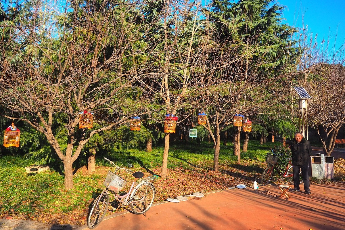 冬日· 街角公园2