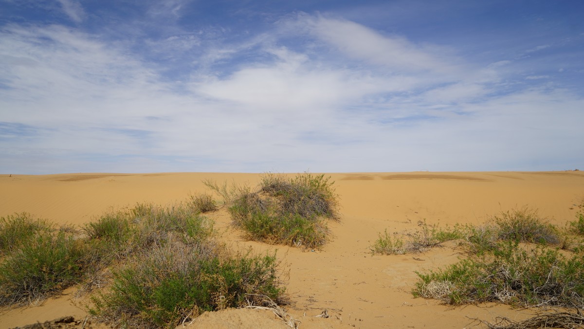 大西北的戈壁滩