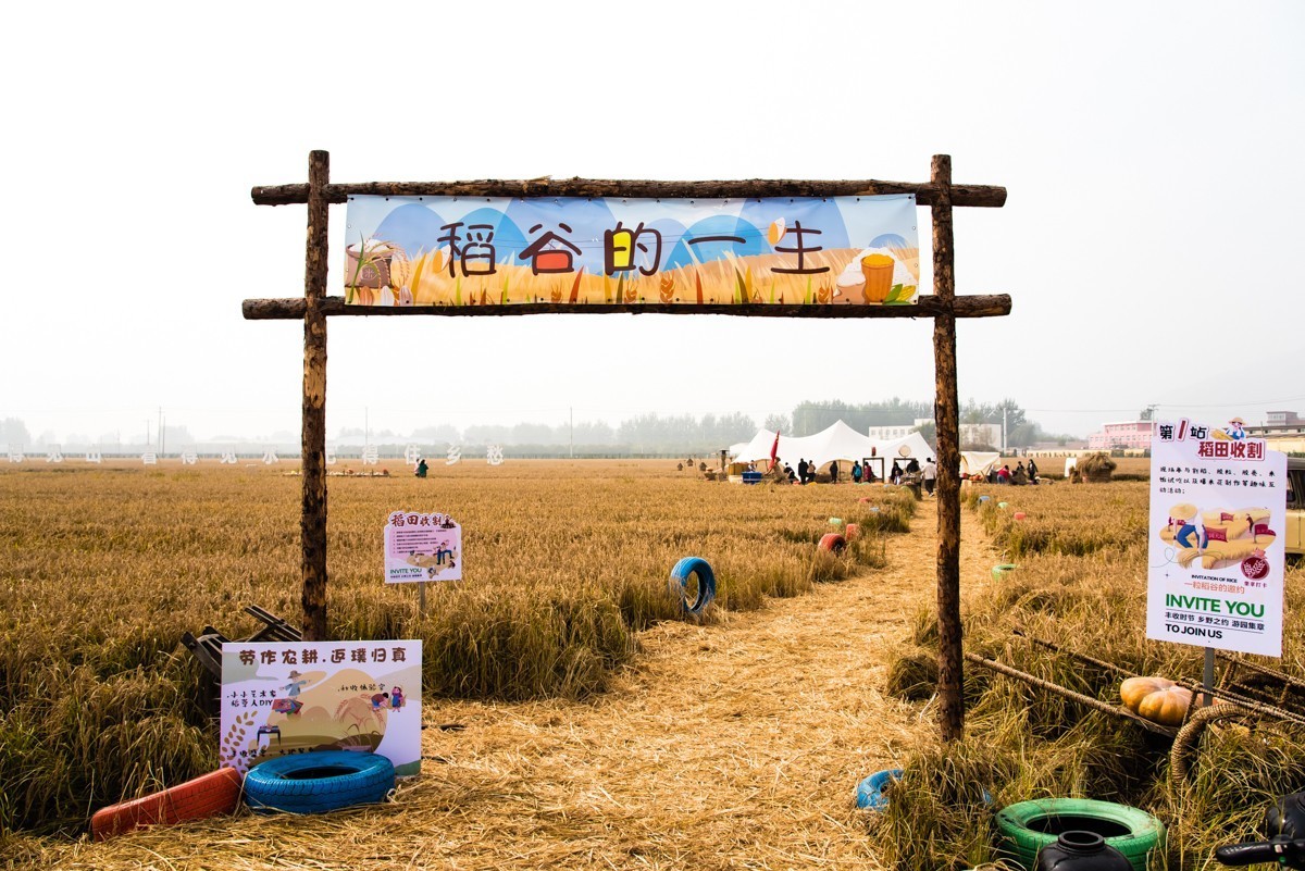 【镜头里】第1336号:醉美乡村·山里各庄之稻田文化艺术节(一)-中关村在线摄影论坛
