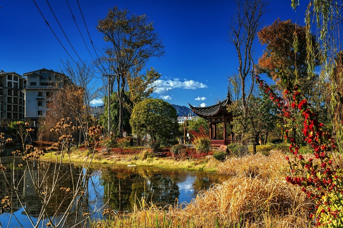 腾冲东湖公园图片