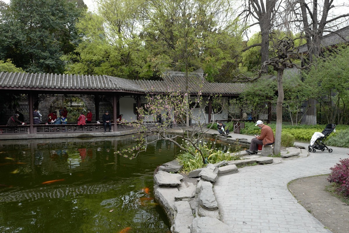 成都之行——人民公园（5）