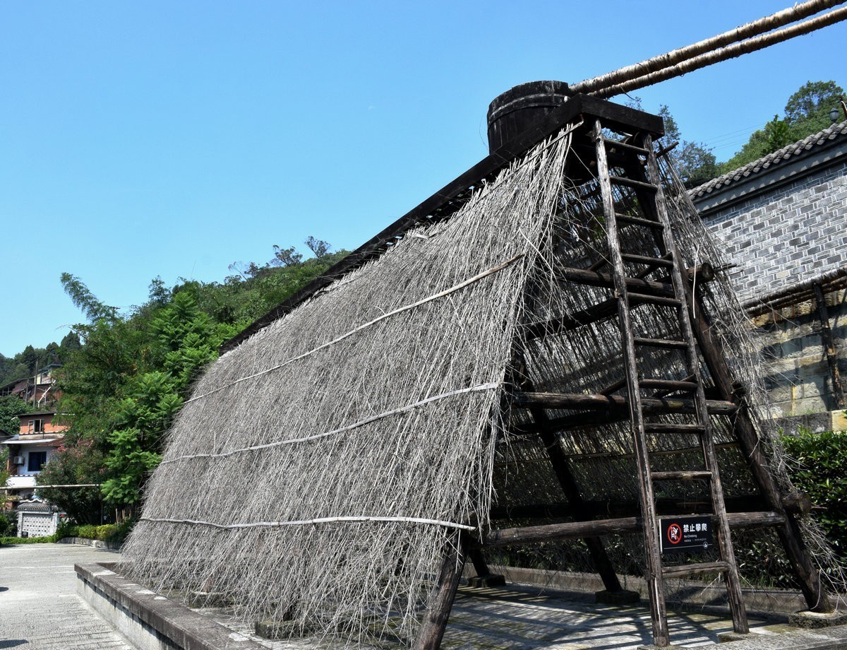 2023夏 黔赣鄂渝川（64）自贡