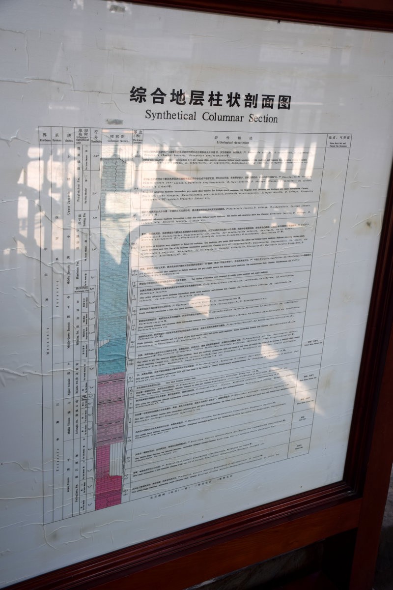 2023夏 黔赣鄂渝川（64）自贡