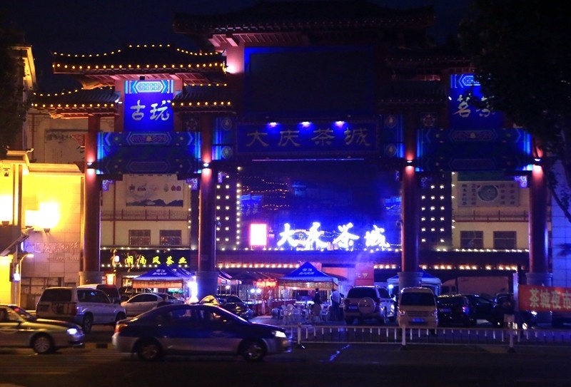 《不老松：纪实摄影》驰骋呼伦贝尔之大庆夜景！ (2)