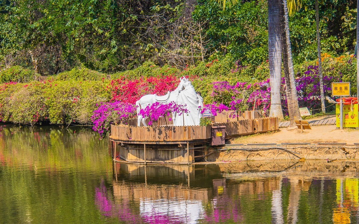 2024-04-24西双版纳原始森林公园孔雀山庄 （三）
