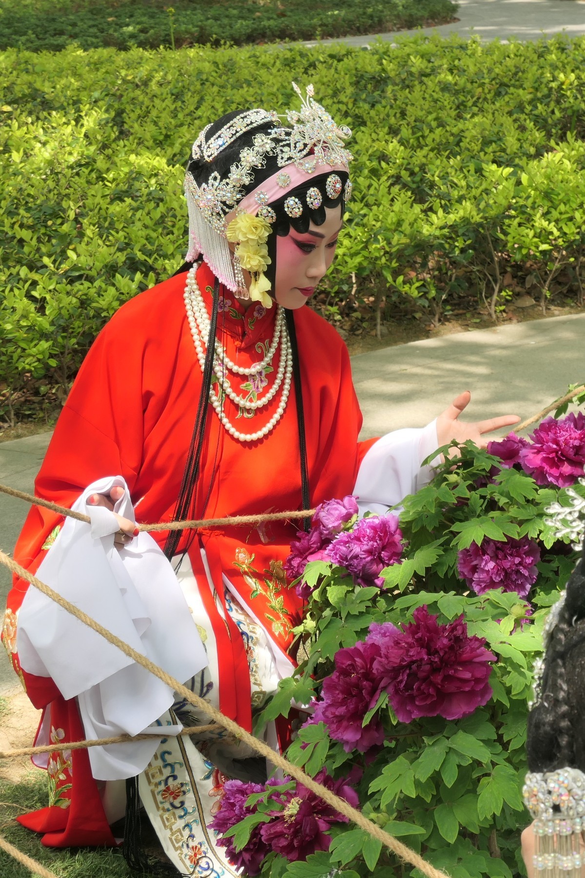 【妙龄少女  国色芳华】——摄于上海漕溪公园