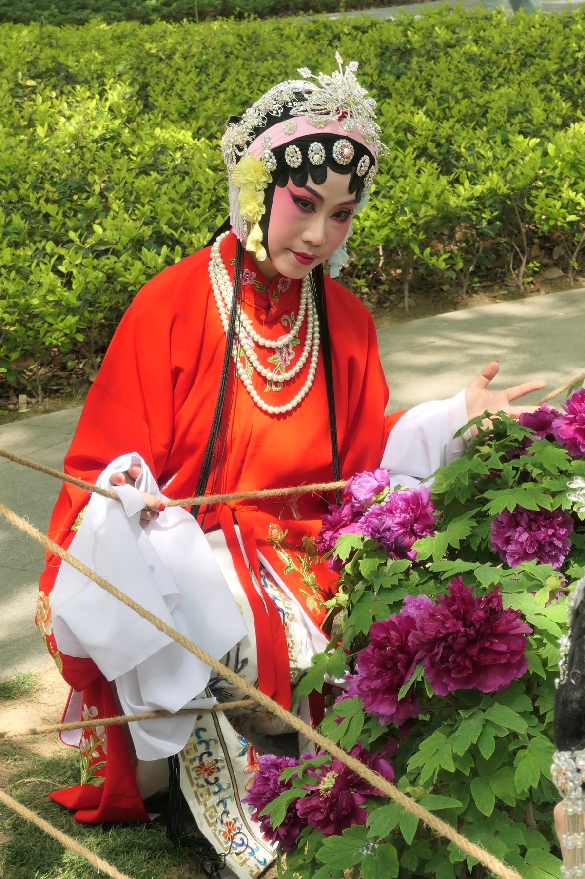 【妙龄少女  国色芳华】——摄于上海漕溪公园