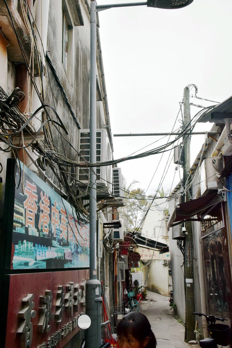 2025春节 广东行（110）开放合作，共迎未来