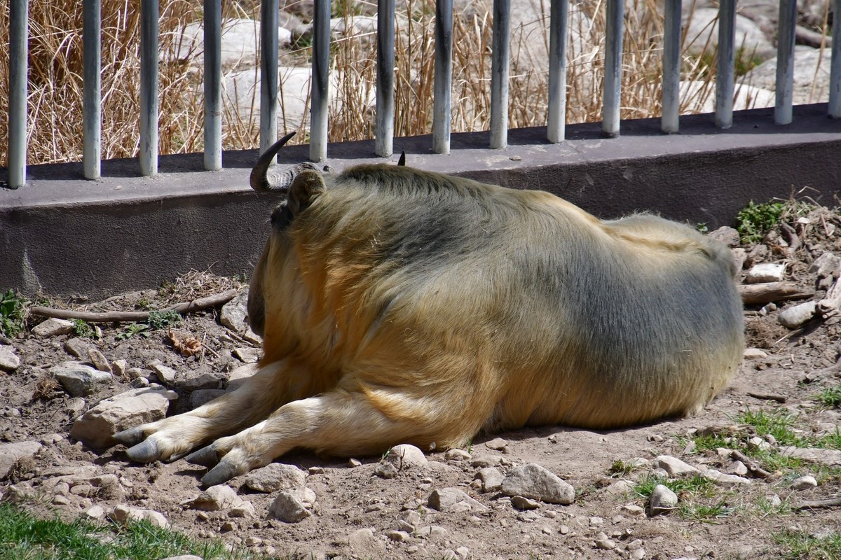 我只是把出去看到的随手记录下来（127）