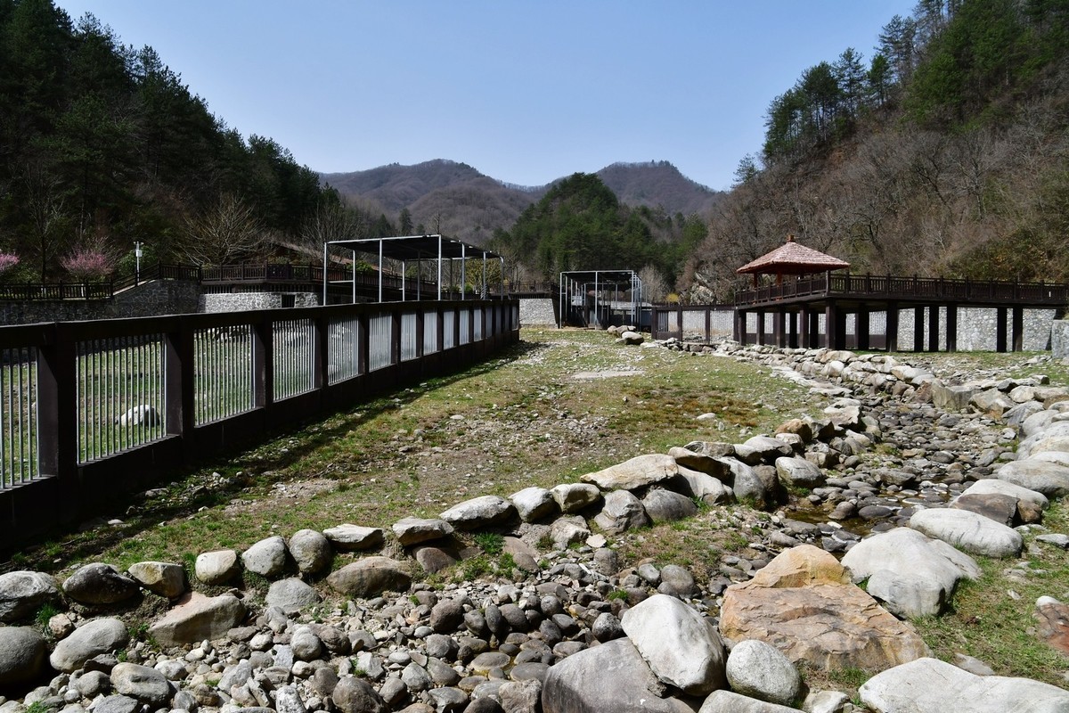 我只是把出去看到的随手记录下来（127）