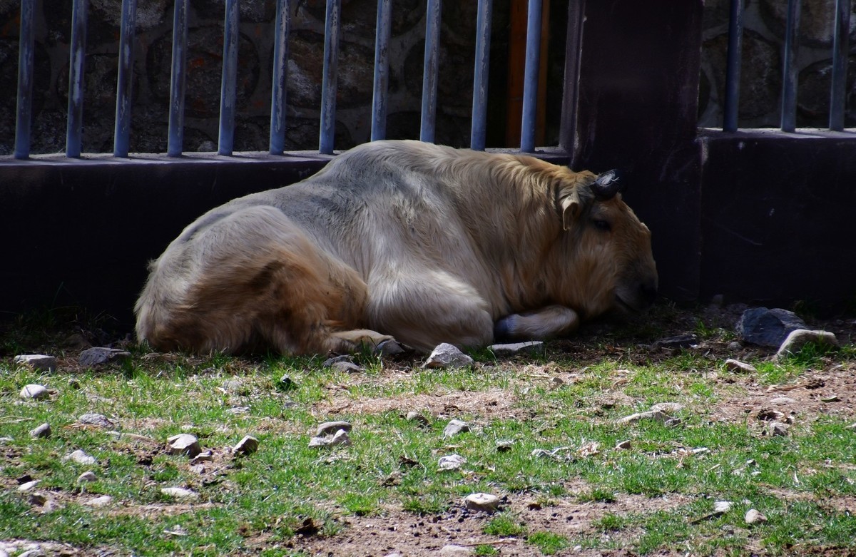 我只是把出去看到的随手记录下来（127）