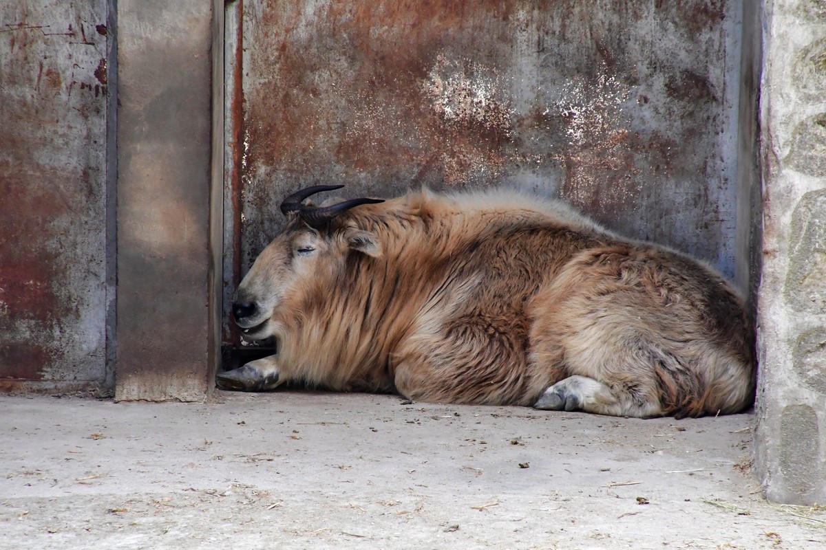 我只是把出去看到的随手记录下来（127）