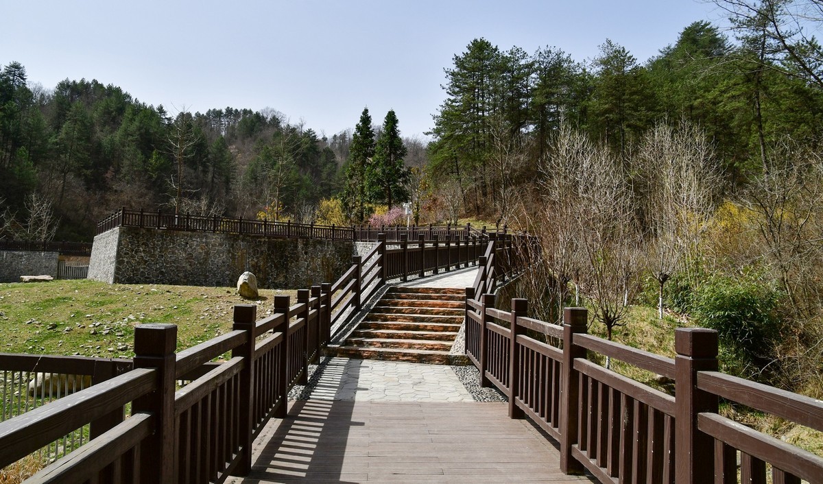 我只是把出去看到的随手记录下来（127）