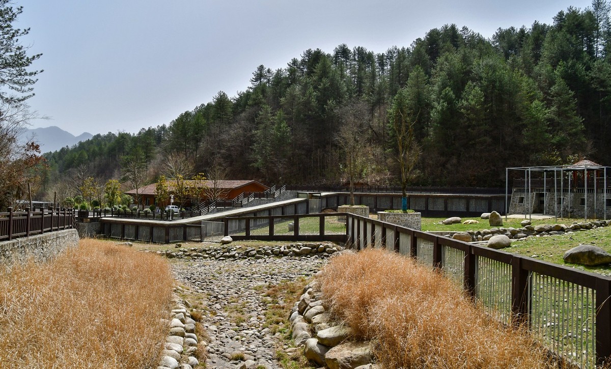 我只是把出去看到的随手记录下来（127）