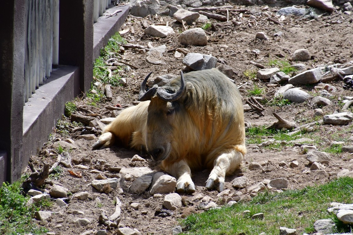 我只是把出去看到的随手记录下来（127）
