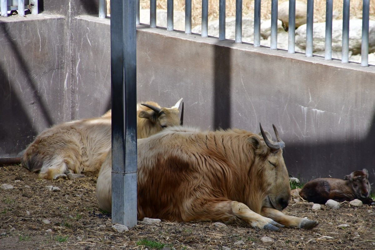 我只是把出去看到的随手记录下来（127）
