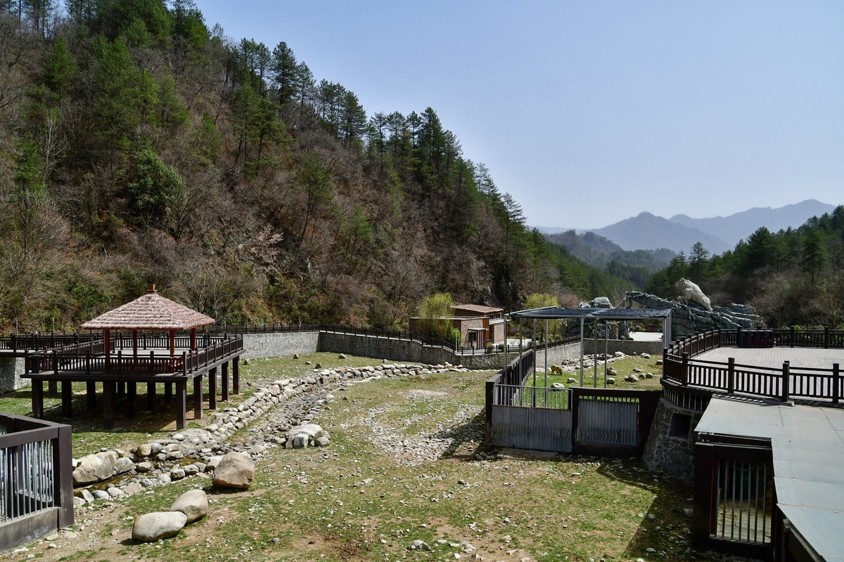 我只是把出去看到的随手记录下来（127）