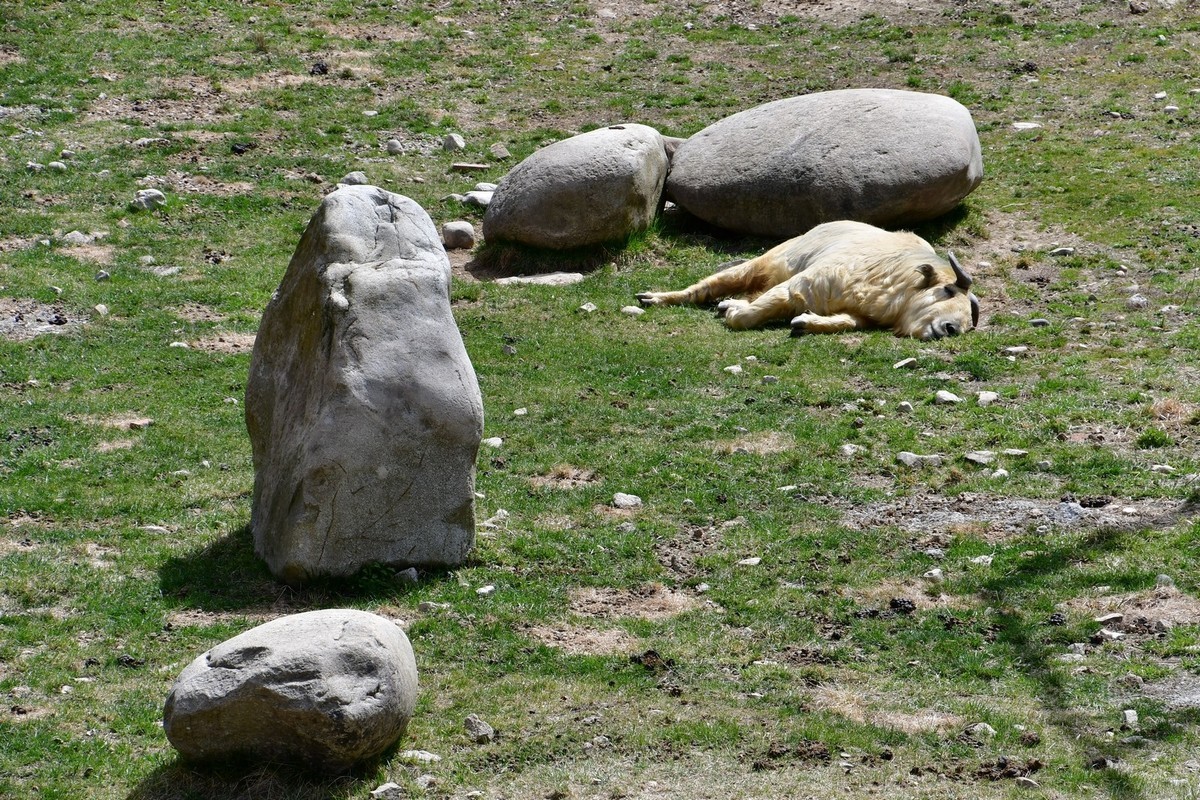 我只是把出去看到的随手记录下来（127）