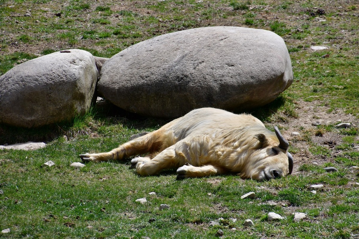 我只是把出去看到的随手记录下来（127）