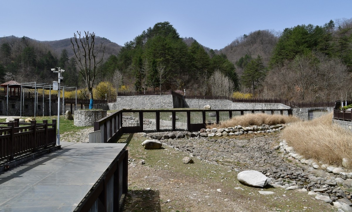 我只是把出去看到的随手记录下来（127）