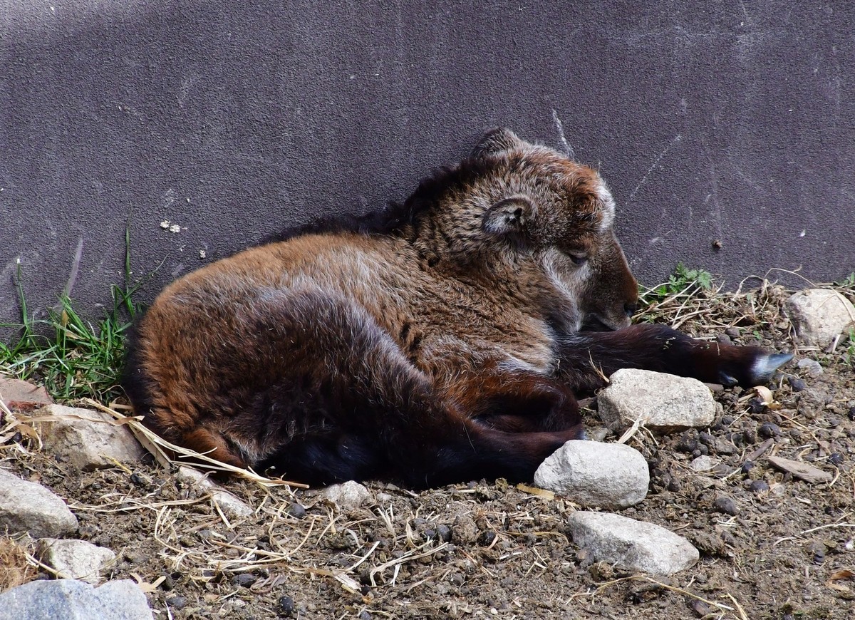 我只是把出去看到的随手记录下来（127）