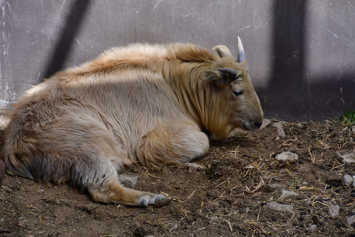 我只是把出去看到的随手记录下来（127）