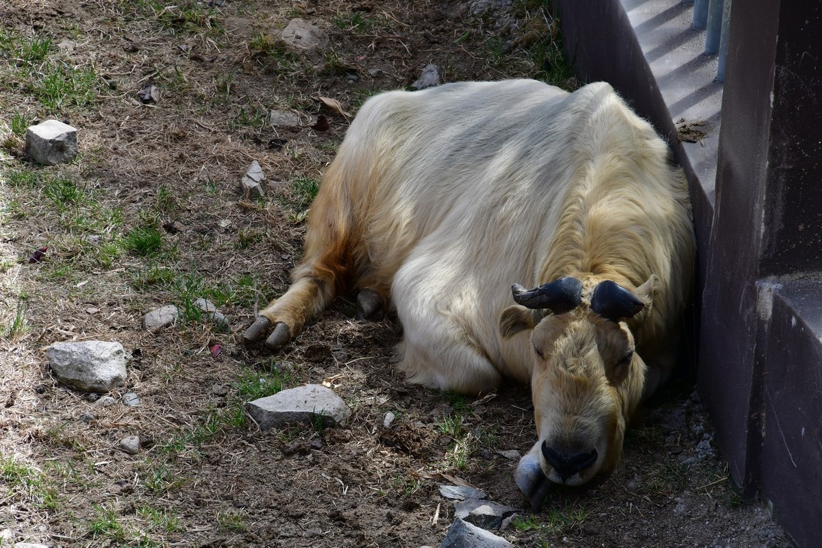 我只是把出去看到的随手记录下来（127）
