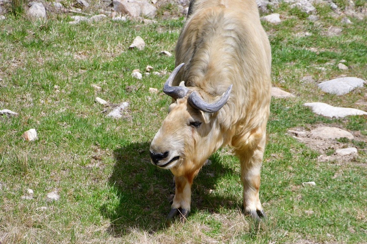 我只是把出去看到的随手记录下来（127）